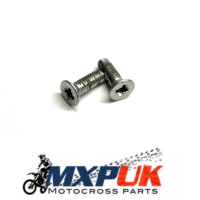 2X BRAKE MASTER CYLINDER SCREWS 4x12  (A23)