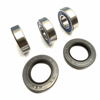 REAR WHEEL BEARINGS & SEALS AB25-1255 (117)