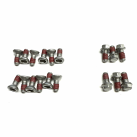BRAKE DISC BOLTS SRTR125250 (297)