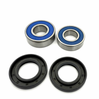 REAR WHEEL BEARING KIT ALLBALLS AB25-1168 (089)
