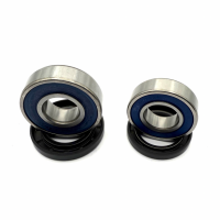 REAR WHEEL BEARINGS AB25-1181 (925)