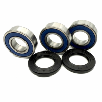 ALL BALLS REAR WHEEL BEARING KIT AB25-1224 (071)
