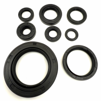 ENGINE OIL SEAL KIT VERTEX 822110 (725)