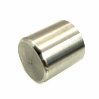 STAINLESS STEEL REAR CALIPER PISTON (276)