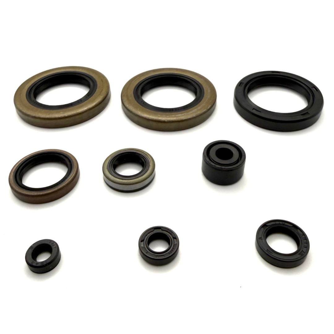 VERTEX ENGINE OIL SEALS KIT (915)