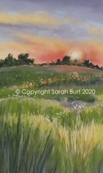 SOLD  - Sunset Over the Gladioli Field
