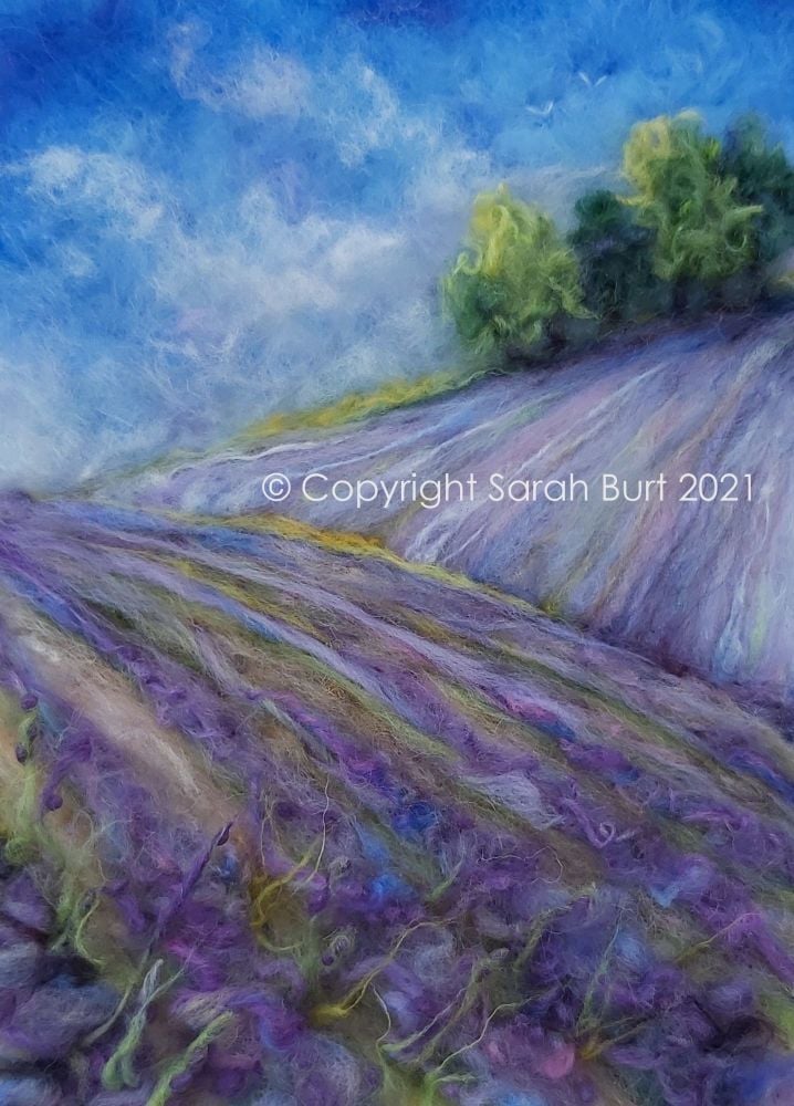            The Copse Atop the Lavender Fields