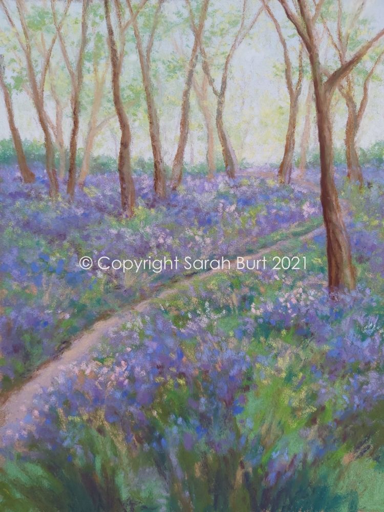      New Pastel - Bluebell Path