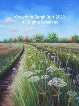           Pastel Painting - Between Fields (Collection in Person Only)