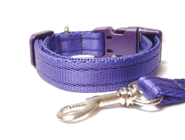 Plain Collar & Lead Set - Choice Of Colours