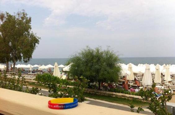 wristband turkey 2