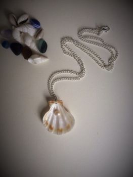 Cultured Pearl & Shell Necklace