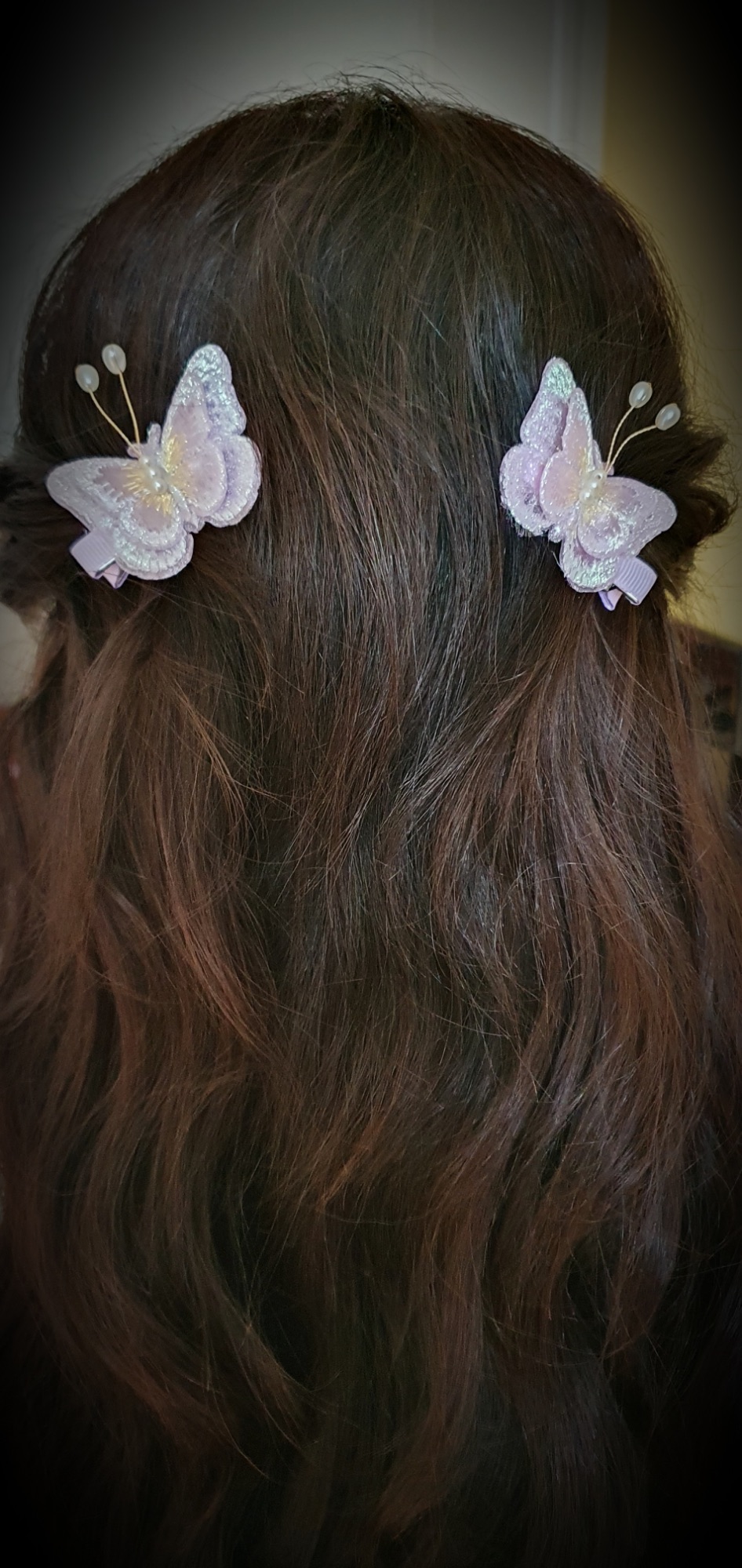 A Pair of Appliqued Glistening Butterfly Hairclips
