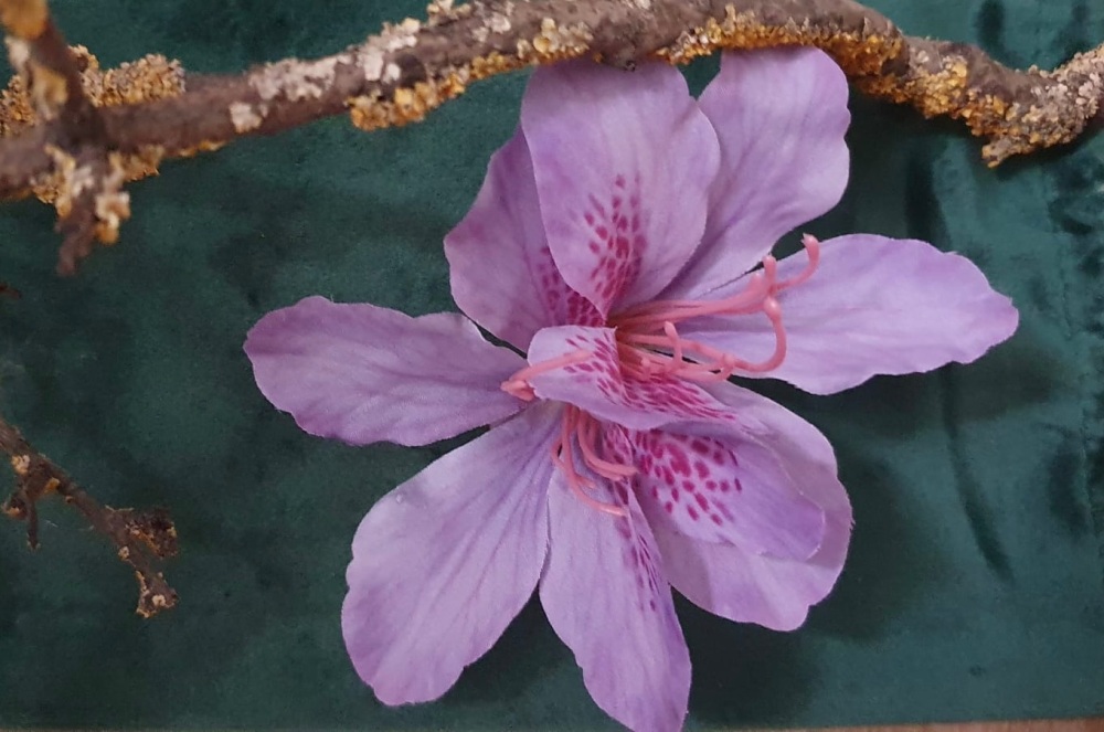 Beautiful Lilac Double Tropical Flower Hair Clip Fascinator