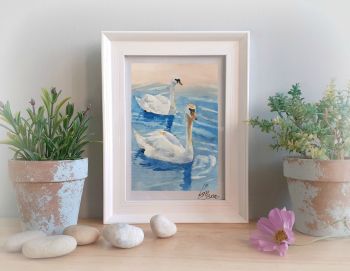Swans Framed Gift Print