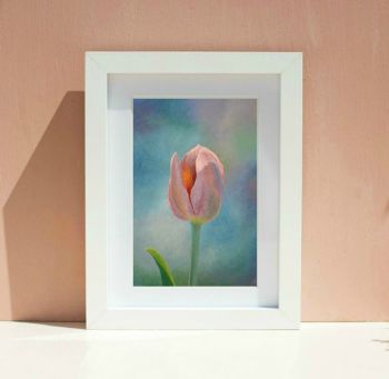 Tulip Print