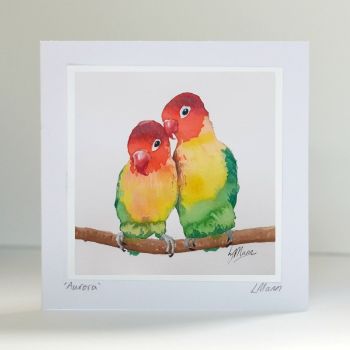 Love Birds Card