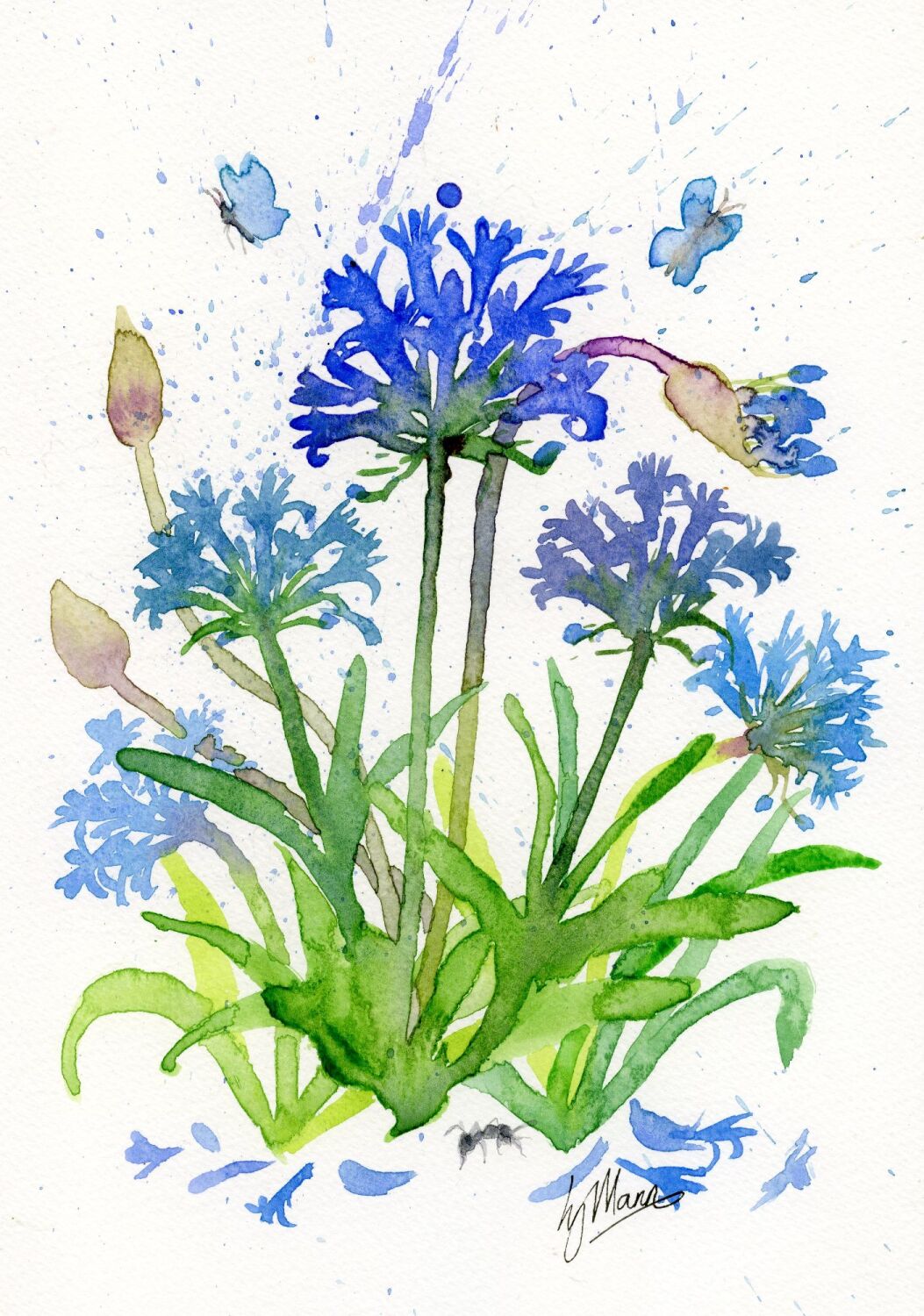 Simple Florals - Agapanthus and Ant