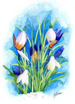 Snowdrops and Crocus
