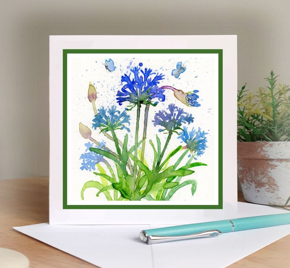 Agapanthus Card