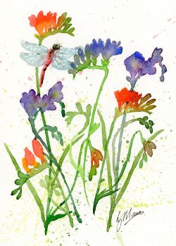 Freesias and Dragonfly