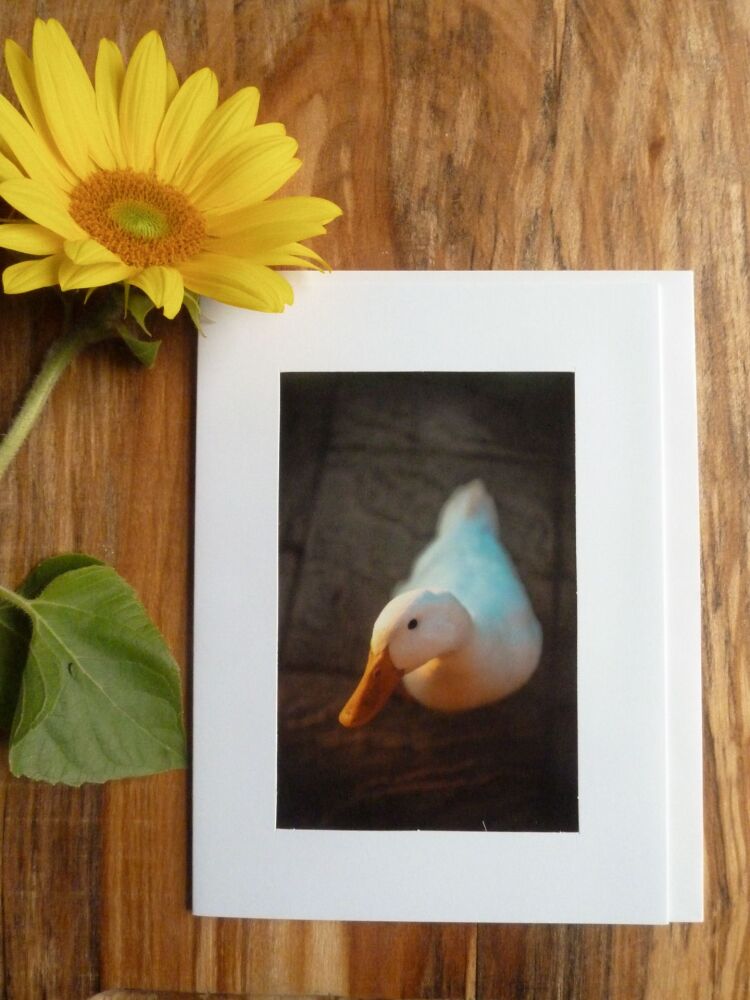 Duck / Poultry Card 2