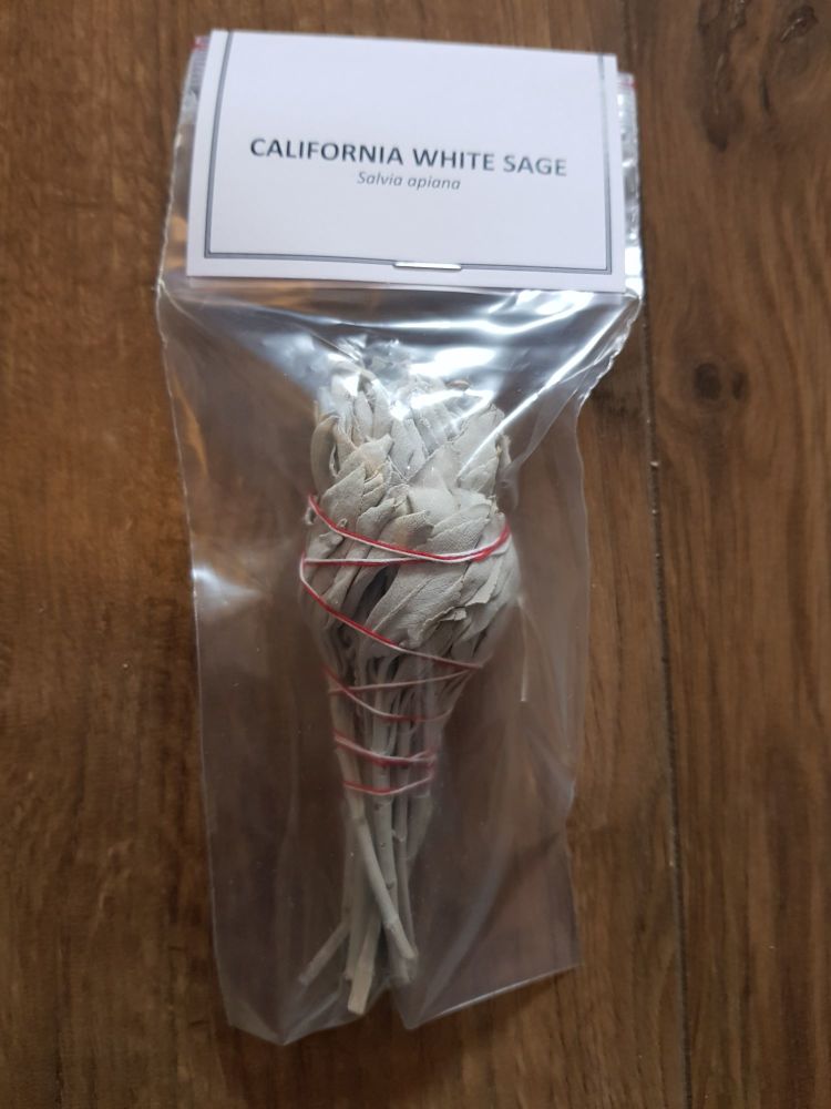 White Sage Bulb
