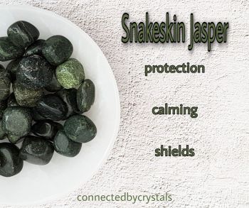 Snakeskin Jasper - Protective Shield
