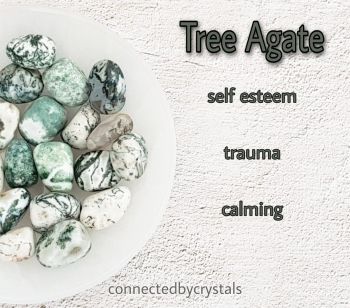 Tree Agate - Self Esteem