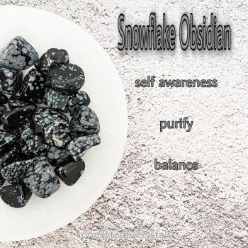 Snowflake Obsidian -Self  Awareness