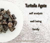 Turritella Agate - survival Stone