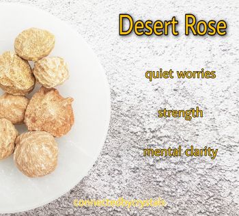 Desert Rose - Hardship