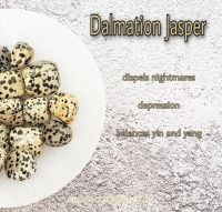 Dalmatian Jasper - Dispels Nightmares