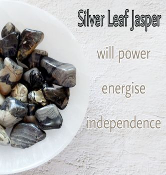 Silver Leaf Jasper Tumblestone