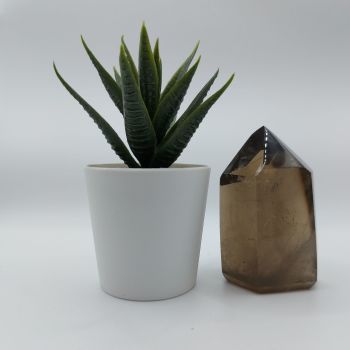 Smoky Quartz Point