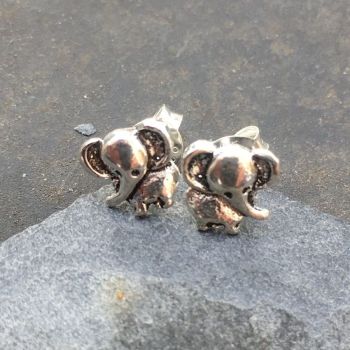 Elephant Stud