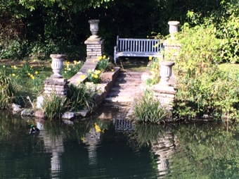Bonchurch Pond STeps