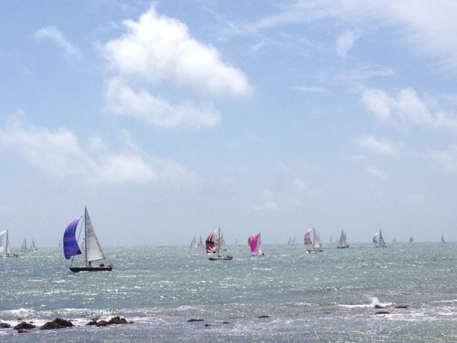RTI Race