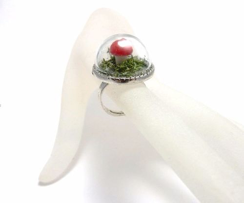 Fairy Toadstool in the Forest Moss Ring
