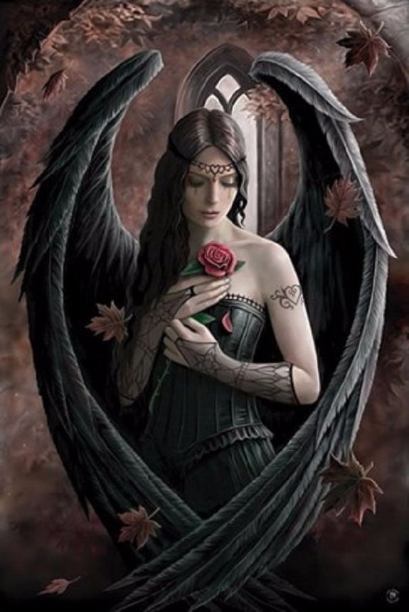 Angel Rose Greetings Card by Anne Stokes