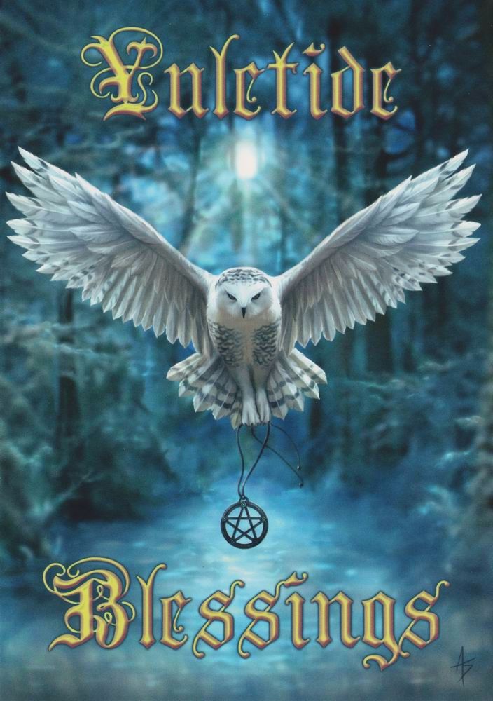 Awake Your Magic owl Greetings Card by Anne Stokes