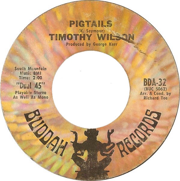 TIMOTHY WILSON - PIGTAILS