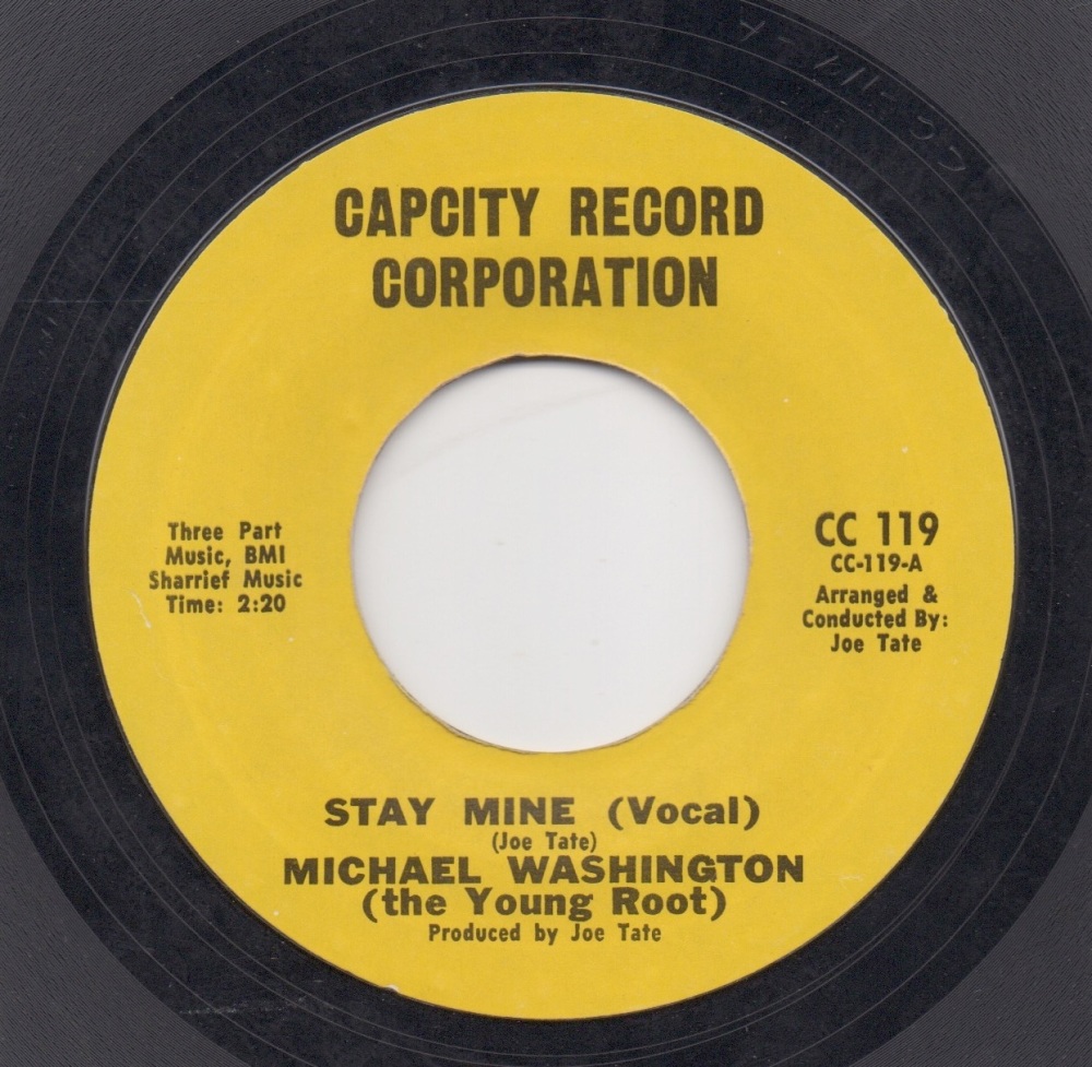 MICHAEL WASHINGTON (the Young Root) - STAY MINE (Vocal)