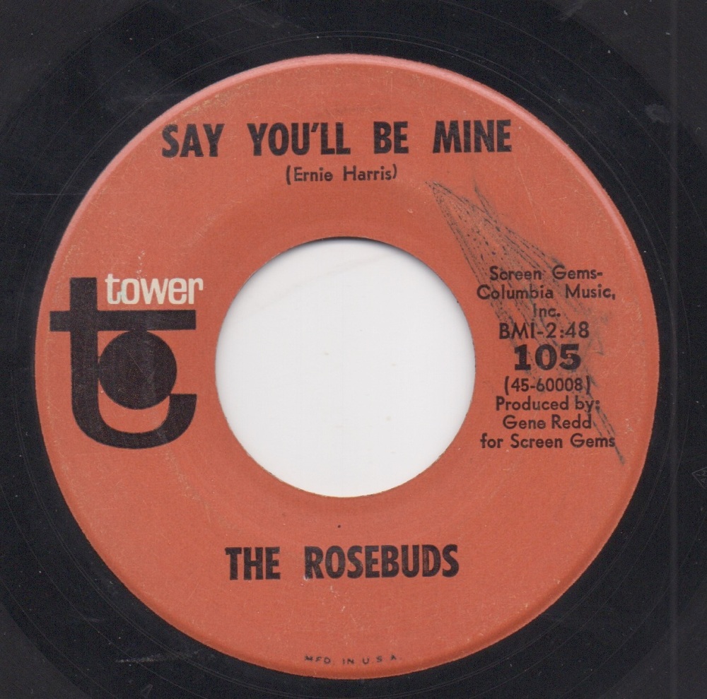 ROSEBUDS - SAY YOU'LL BE MINE