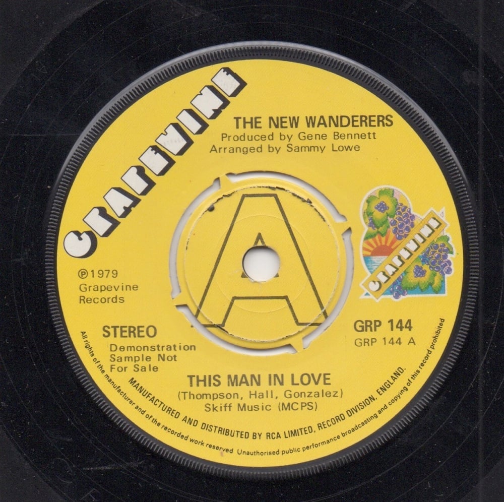 NEW WANDERERS - THIS MAN IN LOVE