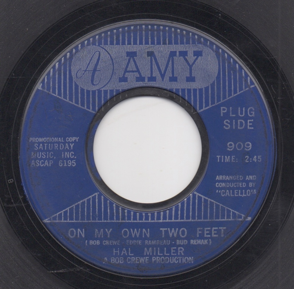 HAL MILLER - ON MY OWN TWO FEET