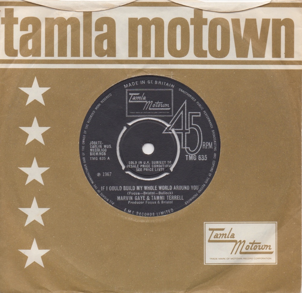 MARVIN GAYE & TAMMI TERRELL - IF I COULD BUILD MY WHOLE AROUND YOU