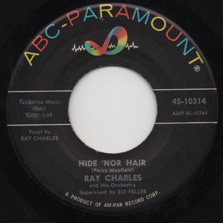 RAY CHARLES - HIDE NOR HAIR