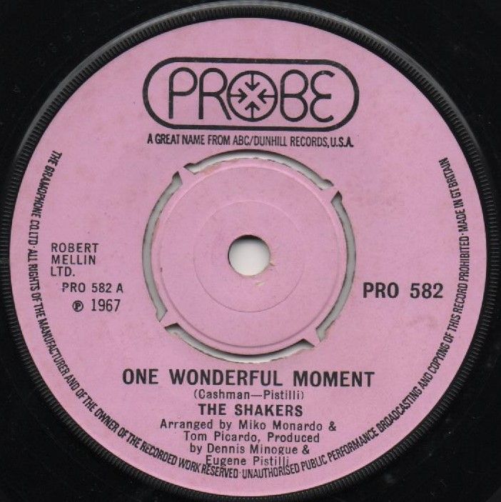 SHAKERS - ONE WONDERFUL MOMENT