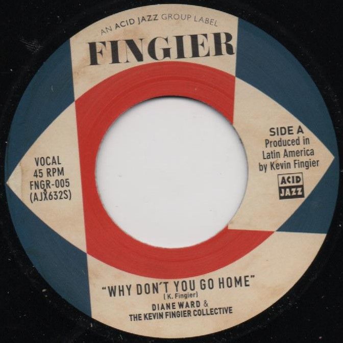 DIANA WARD & THE KEVIN FINGIER COLLECTIVE - WHY DON'T YOU GO HOME